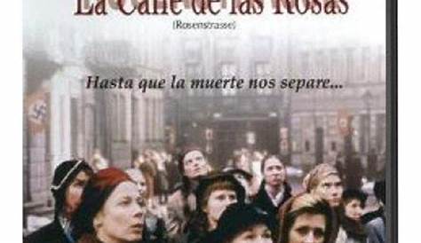 La Calle De Las Rosas Pelicula Dvd | Mercado Libre