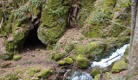 Exploration de la grotte des loups - Marsactu