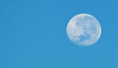 Por qué se ve la Luna de día, curiosidades sobre la Luna