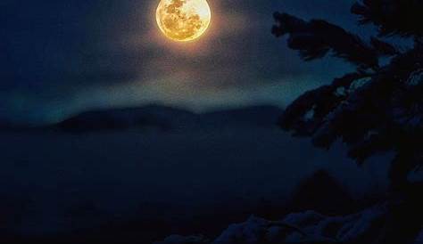 Pourquoi la pleine lune est si inspirante? 40 jolies photographies du