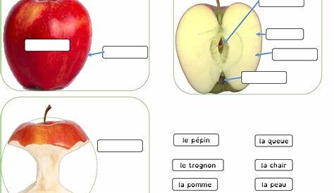 pommemono.gif (822×595) | Kindergarten crafts, Apple theme, Apple unit