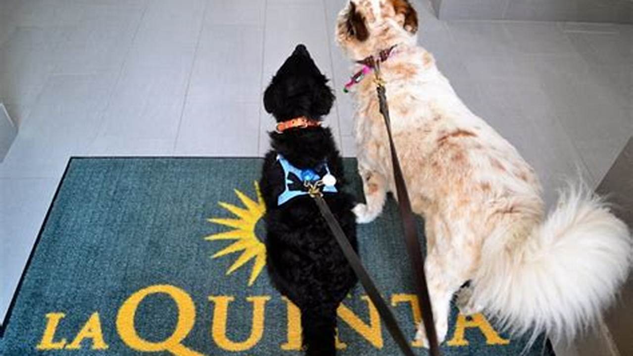 Discover La Quinta's Pet-Friendly Oasis in NYC: 10 Reasons Why!