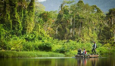 Parque Nacional del Manu: 5 motivos para visitarlo - Viajar por Perú