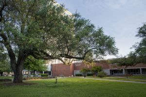 Exploring The La Tech Library: A Hub Of Knowledge And Innovation