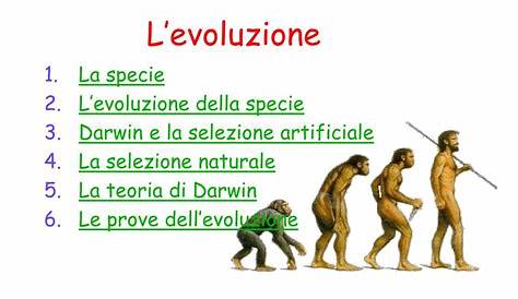 Evoluzionismo - Le teorie dell'evoluzione