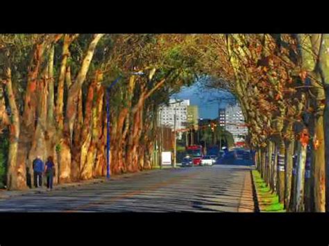 la avenida de los tilos