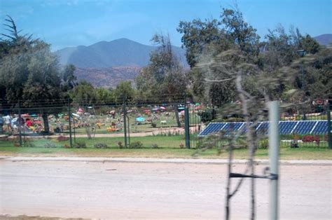 la foresta la serena