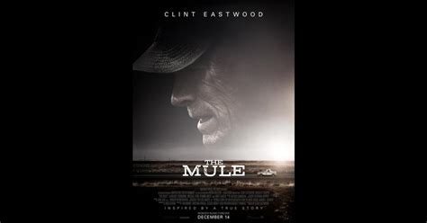 la mule site streaming