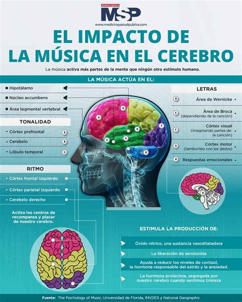 la musica en el cerebro