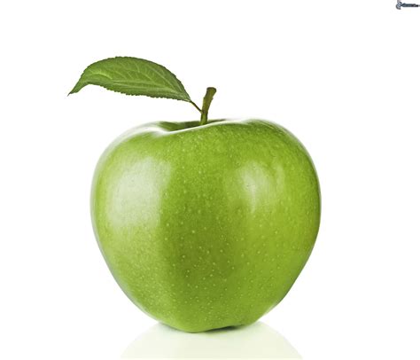 la pomme verte photographe