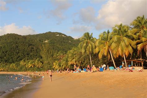 La Salamandre Grande Anse