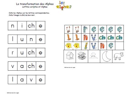 Viral La Transformation Des Alphas Updated