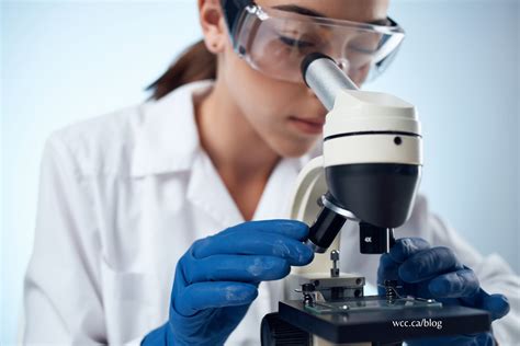 Lab Assistant Image