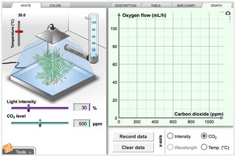 Lab Bench Photosynthesis