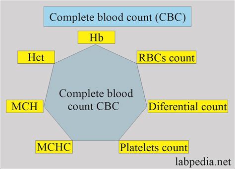 Understanding Lab CBC with Diff: Blood Test Insights