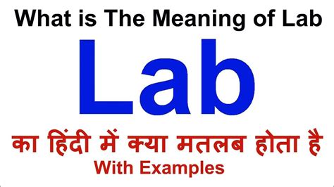 Lab Definition In Hindi