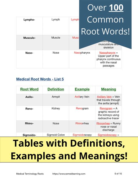 Lab Definition Root Word