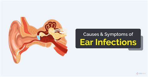 Lab Ear Infection Causes
