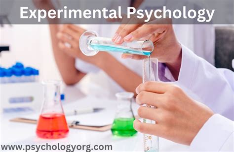 Lab Experiments Psychology