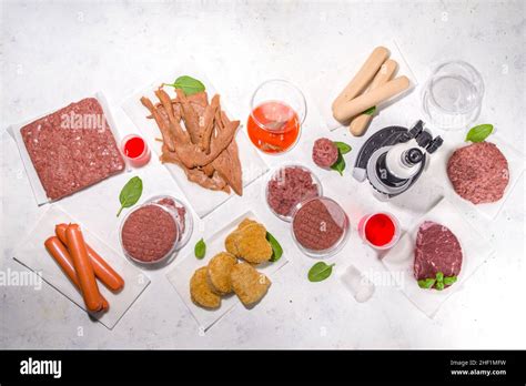 Lab Grown Meat Alternatives