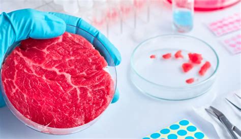 lab grown meat ban