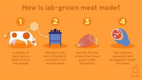 Lab Grown Meat Facts