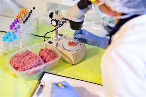 lab grown meat safety