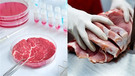 Lab Meat Vs Real Meat