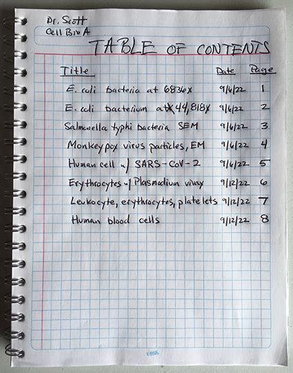 Lab Notebook Example Biology