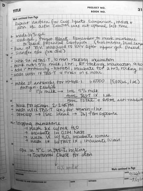 lab notebook examples