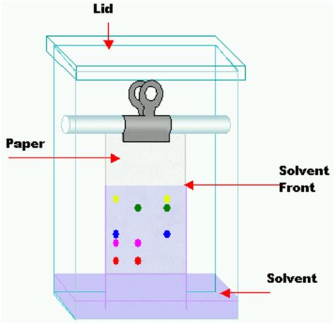 Lab On Paper Chromatography