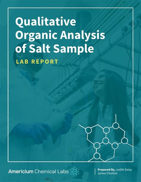 Lab Report On Qualitative Analysis