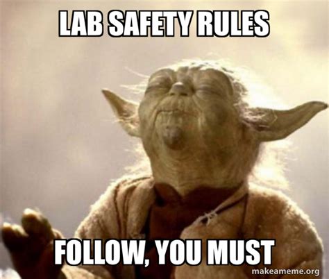 Lab Rules Meme