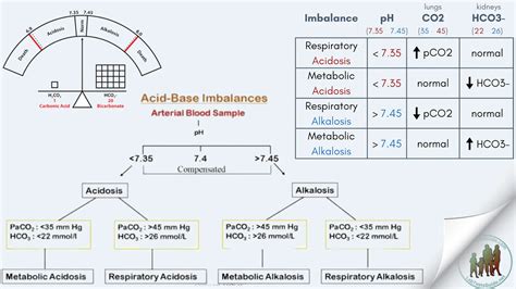 Lab Test For Acid Base Balance