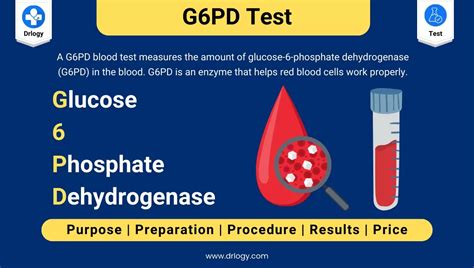 Labcorp G6Pd Test