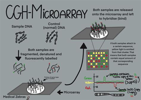 Labcorp Pediatric Microarray