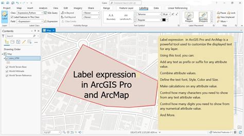 Label Arcgis Expression