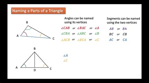 label the parts of the triangle quiz