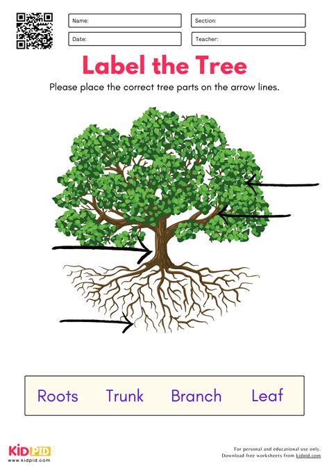 Label The Tree Printable
