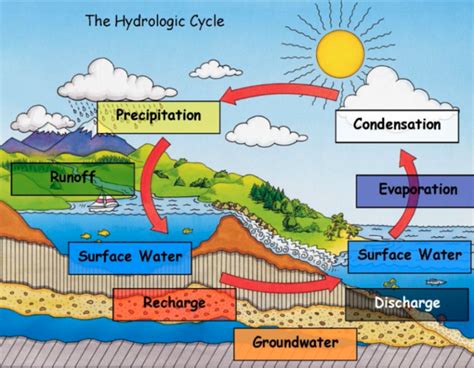 label the water cycle diagram