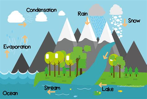 labelled water cycle diagram