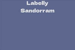 Unveiling the Secrets of Labelly Sandorram: A Mysterious Textile Tale