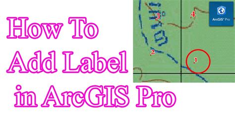 Labels Not Working Arcgis Pro