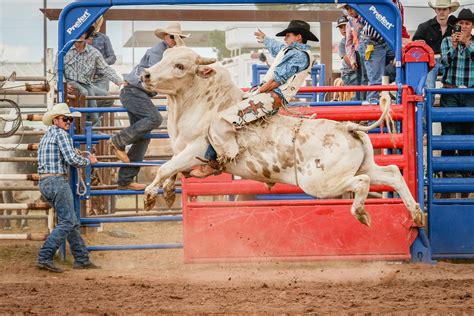 Labor Day Rodeo