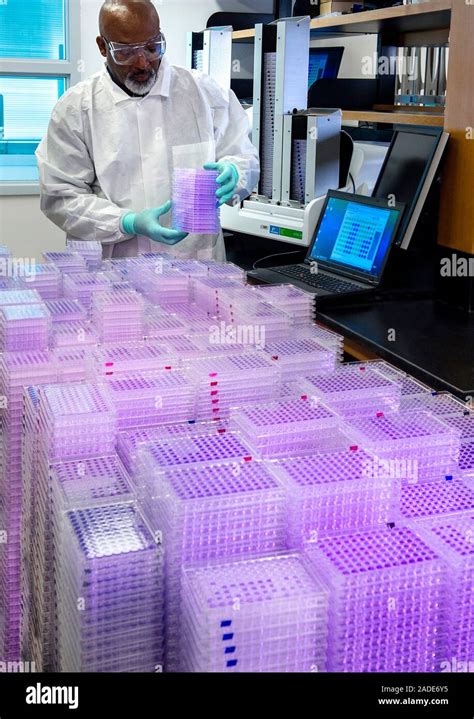 Laboratory Tests Virology