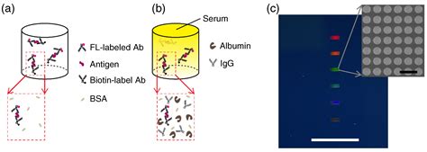 Laboratory Validation Biosensor