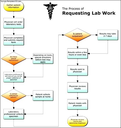 laboratory workflow lab flow chart
