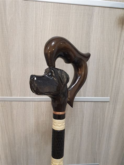 Labrador Walking Stick