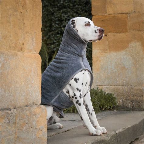 Labs Drying Coat