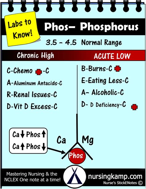 Labs Phosphorus Levels